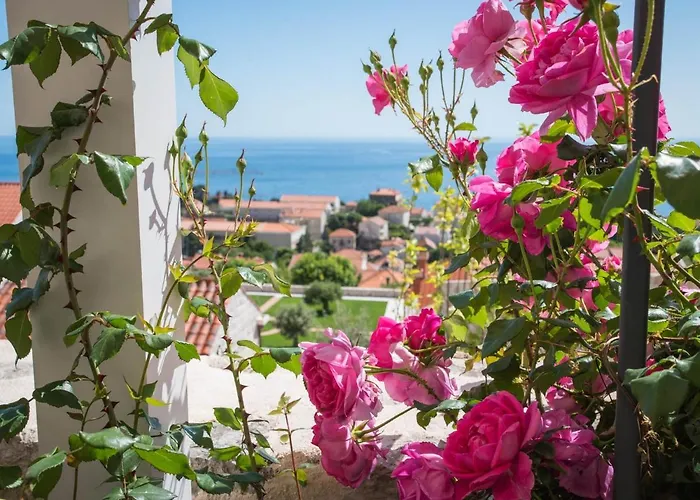 Apartment Faros